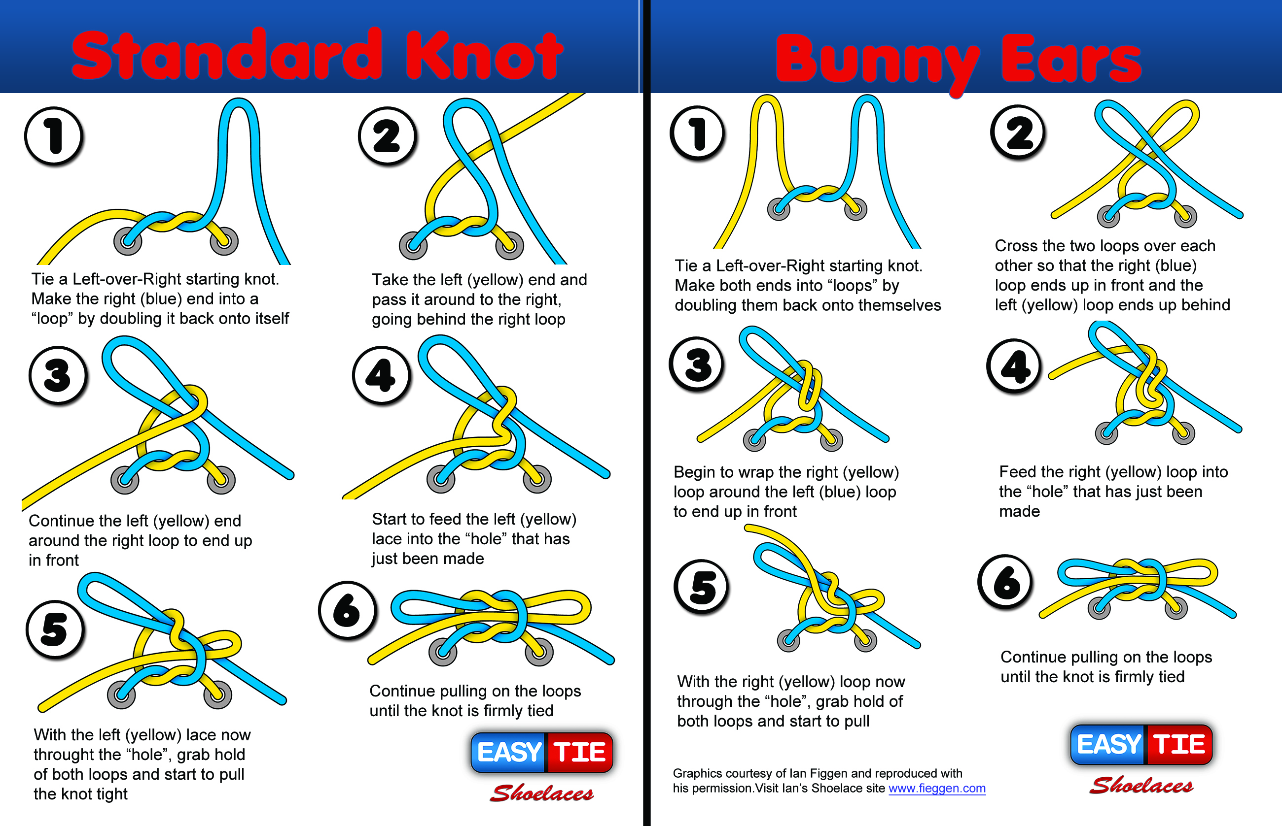 two loop shoelace knot